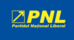 Divergente în PNL: PDL vrea rapid Guvernul, PNL nu