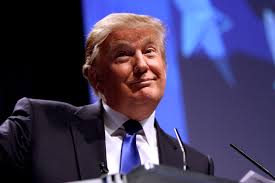 Deutsche Welle despre Donald Trump: Casa Albă nu are nevoie de clowni!