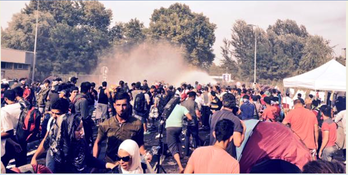 LIVE VIDEO – „Imigranții” au început să folosească COCKTAILURI MOLOTOV LA GRANIȚA SÂRBO-MAGHIARĂ/ ALLAH E MARE