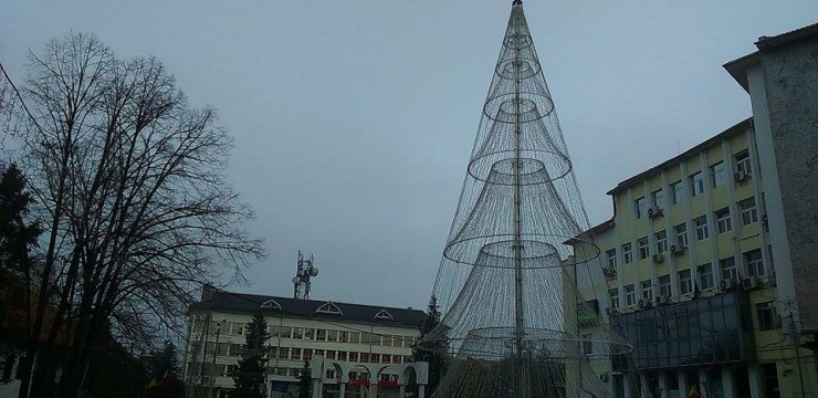 Primăria Târgu-Jiu a cheltuit peste 100.000 de euro pentru cel mai scump brad din ţară