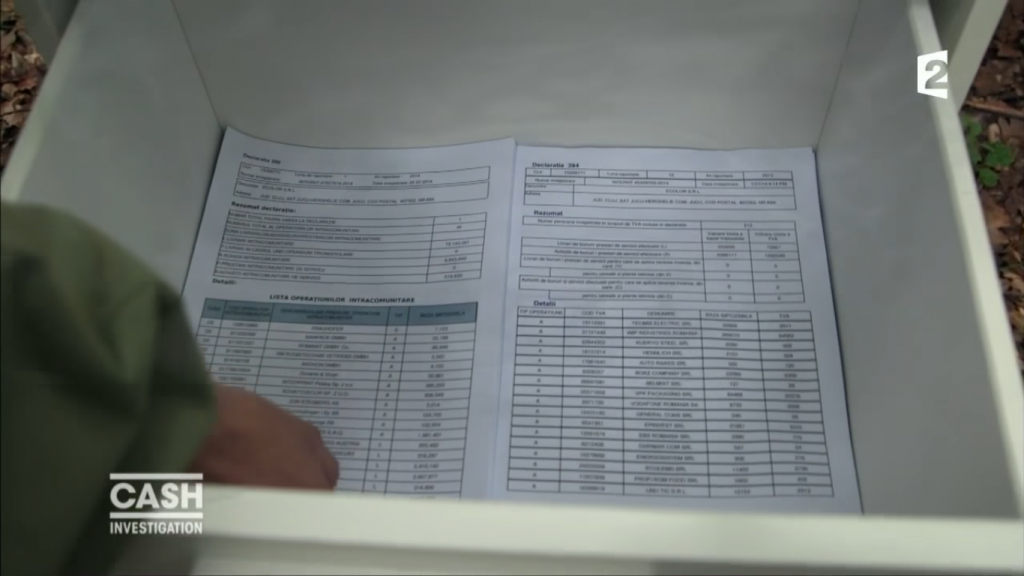 INTEGRAL VIDEO investigația France 2 despre afacerile IKEA și jefuirea pădurilor din România