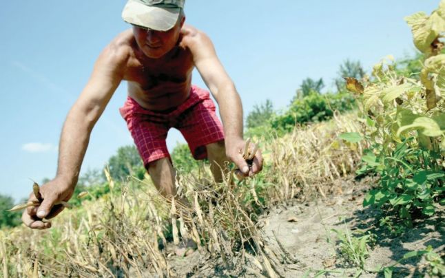 Se anunță dezastru în agricultură | Flux24.ro