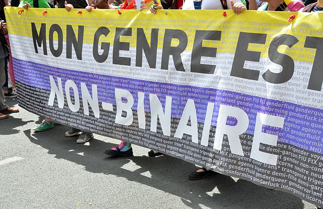 Belgia urmează să suprime înscrierea genului în cărţile de identitate Belgia urmează să suprime înscrierea genului în cărţile de identitate