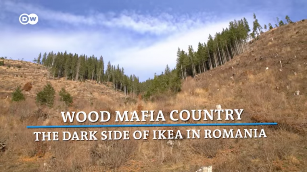 VIDEO/Reportaj Deutsche Welle: Fața întunecată a afacerilor Ikea din România VIDEO/Reportaj Deutsche Welle: Fața întunecată a afacerilor Ikea din România