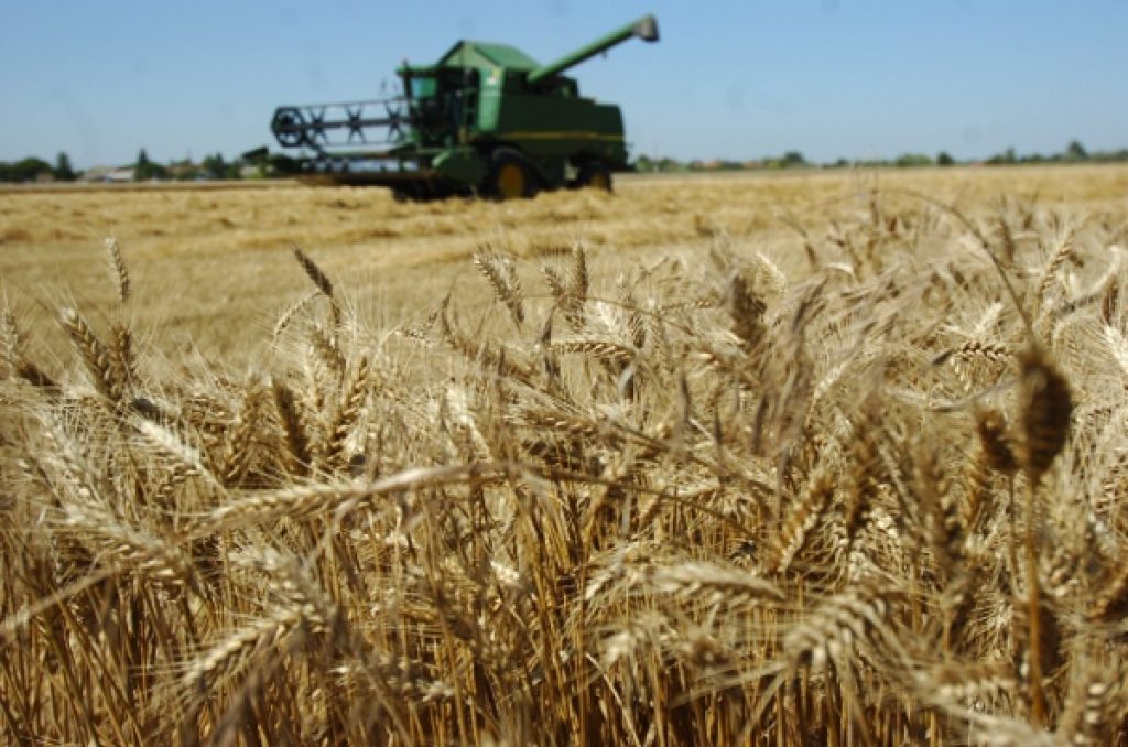 Agricultura românească se scufundă pe fondul presiunii importurilor de cereale din Ucraina și al scumpirii energiei și îngrășămintelor din cauza instabilității geopolitice Agricultura românească se scufundă pe fondul presiunii importurilor de cereale din Ucraina și al scumpirii energiei și îngrășămintelor din cauza instabilității geopolitice