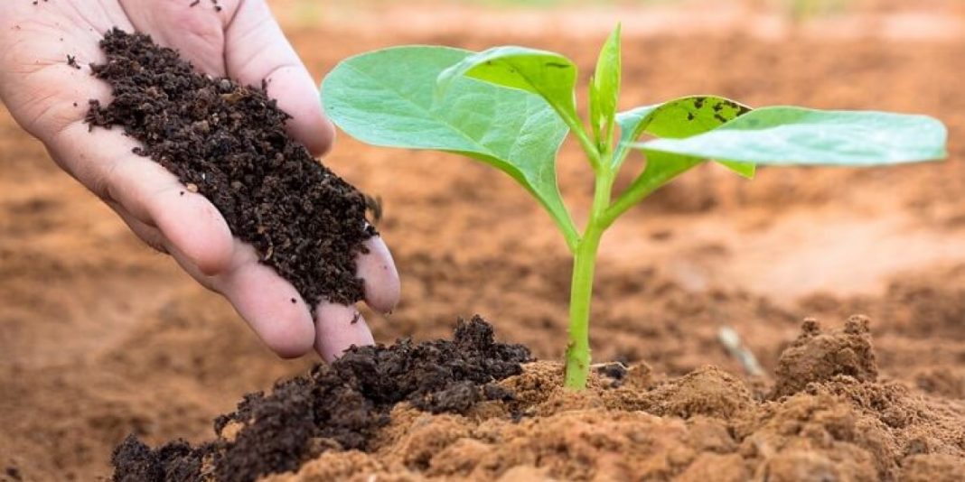 Marcel Ciolacu: Asigurarea rezilienţei fermelor româneşti devine obiectiv de interes naţional. Un nou concept pe care îl propun pentru perioada următoare este patriotismul economic – să producem şi să consumăm cât mai mult româneşte Marcel Ciolacu: Asigurarea rezilienţei fermelor româneşti devine obiectiv de interes naţional. Un nou concept pe care îl propun pentru perioada următoare este patriotismul economic – să producem şi să consumăm cât mai mult româneşte