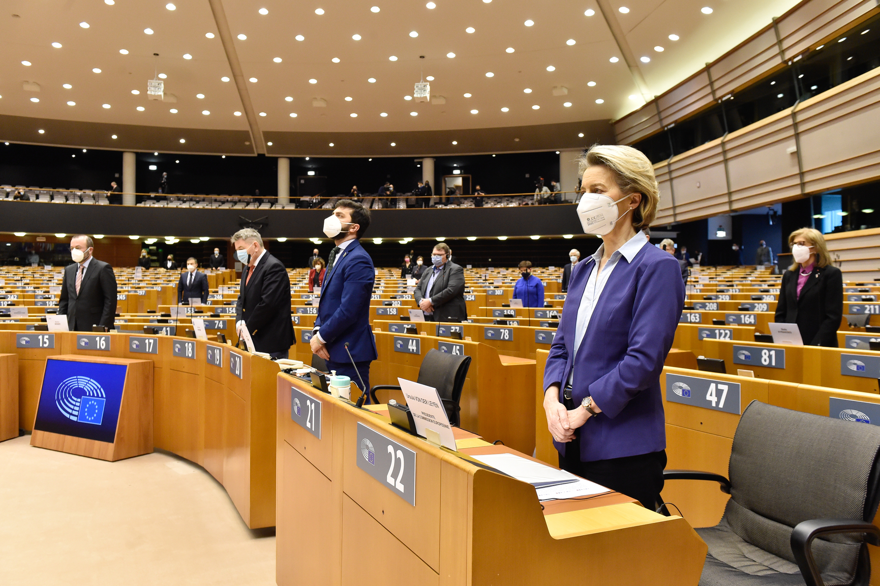 EP-110233A_Plenary_Covid