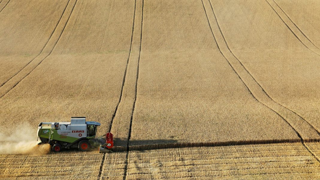 Ministrul ungar al agriculturii la Tusványos: Oferim o finanţare naţională suplimentară de 80% pentru a completa fondurile de dezvoltare ale UE Ministrul ungar al agriculturii la Tusványos: Oferim o finanţare naţională suplimentară de 80% pentru a completa fondurile de dezvoltare ale UE