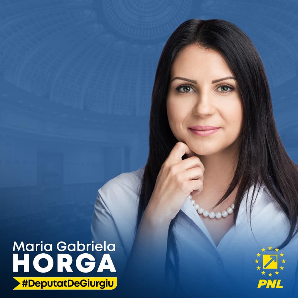 Deputata Horga: Digitalizarea activăților bancare și modificarea legii contabilității Deputata Horga: Digitalizarea activăților bancare și modificarea legii contabilității