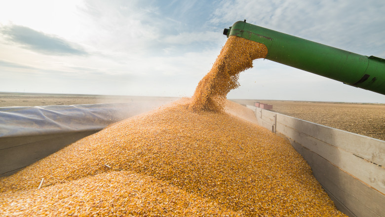 Ministrul adjunct ucrainean al Agriculturii: Am pierdut mult mai mult de 25% din terenurile arabile Ministrul adjunct ucrainean al Agriculturii: Am pierdut mult mai mult de 25% din terenurile arabile