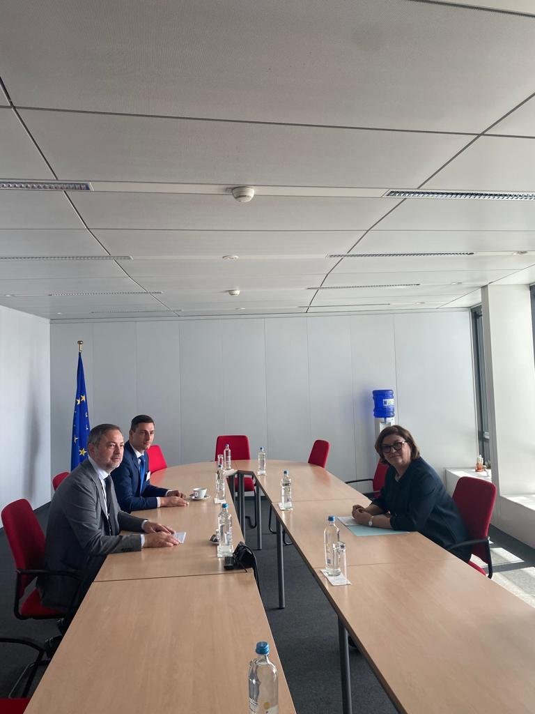 Europarlamentarul Dan Motreanu, discuții cu comisarul european pentru transporturi despre Dunăre Europarlamentarul Dan Motreanu, discuții cu comisarul european pentru transporturi despre Dunăre