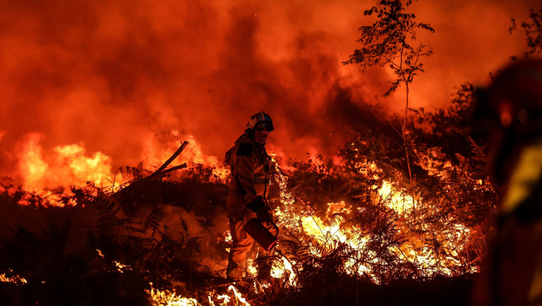 The Times și Wall Street Journal: Incendiile de vegetație se datorează măsurilor ecologiste The Times și Wall Street Journal: Incendiile de vegetație se datorează măsurilor ecologiste