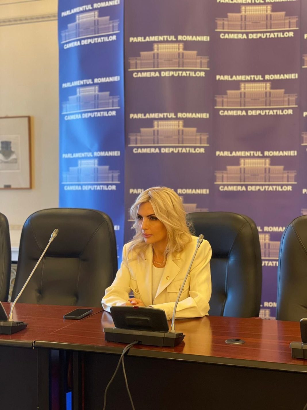Laura Vicol: Fiecare colțișor din țara asta, și Transilvania și Dobrogea, și Nordul Moldovei și Banatul sunt exemple ale înțelegerii între toți românii, indiferent de etnia lor Laura Vicol: Fiecare colțișor din țara asta, și Transilvania și Dobrogea, și Nordul Moldovei și Banatul sunt exemple ale înțelegerii între toți românii, indiferent de etnia lor