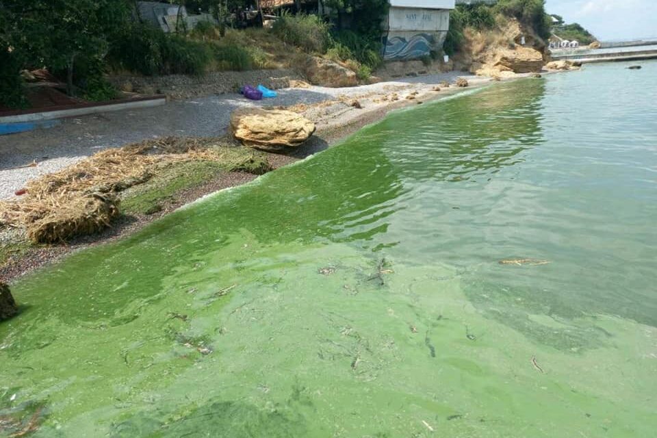 Plajele din zona Odesa au fost închise din cauza apei infectate a Mării Negre Plajele din zona Odesa au fost închise din cauza apei infectate a Mării Negre