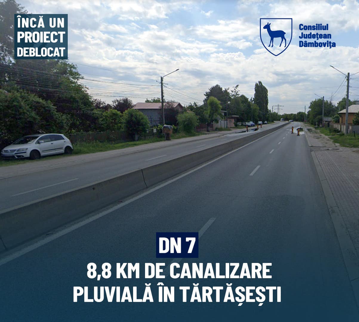 tartasesti