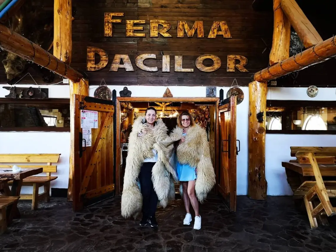 Ferma-Dacilor-Accommodation-review_Calling-for-the-wild-32-1140x855