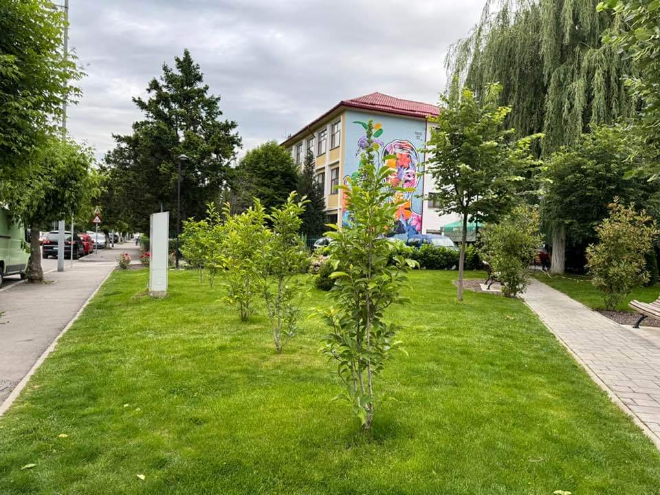 Mai multe locuri în grădinițele și creșele din Târgu Jiu Mai multe locuri în grădinițele și creșele din Târgu Jiu
