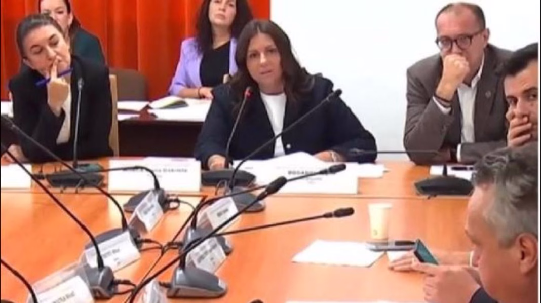 Senatoarea Horga: Puțini politicieni și-au dorit să ajungem în acest moment favorabil Senatoarea Horga: Puțini politicieni și-au dorit să ajungem în acest moment favorabil
