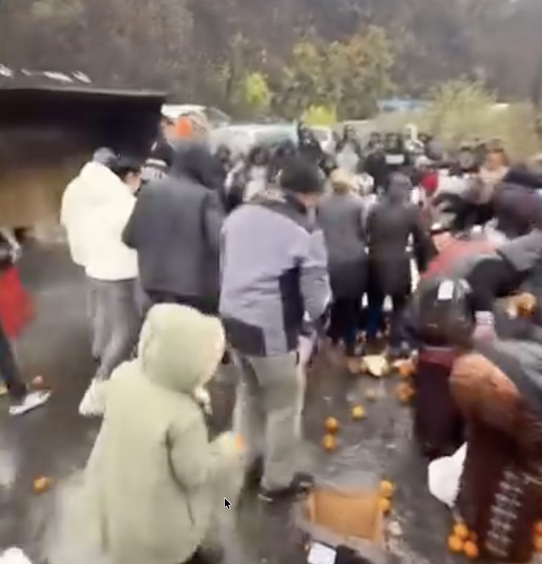 VIDEO: Cum a fost jefuit de localnici un TIR in Mehedinți VIDEO: Cum a fost jefuit de localnici un TIR in Mehedinți